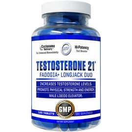 Hi Tech Testosterone 21 120 ct