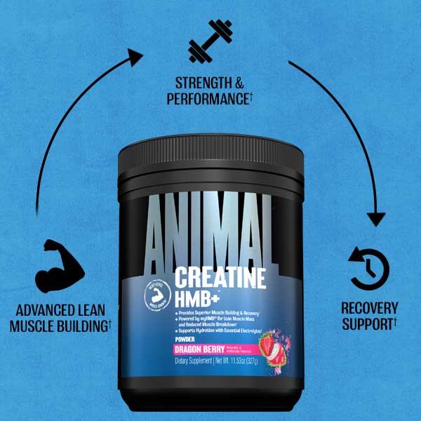 Animal Creatine HMB+