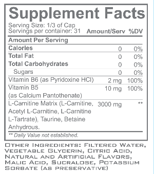 Atomic L-Carnitine 3000