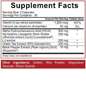 5% Bigger By the Day: Muscle Builder - Supplement Xpress Online
